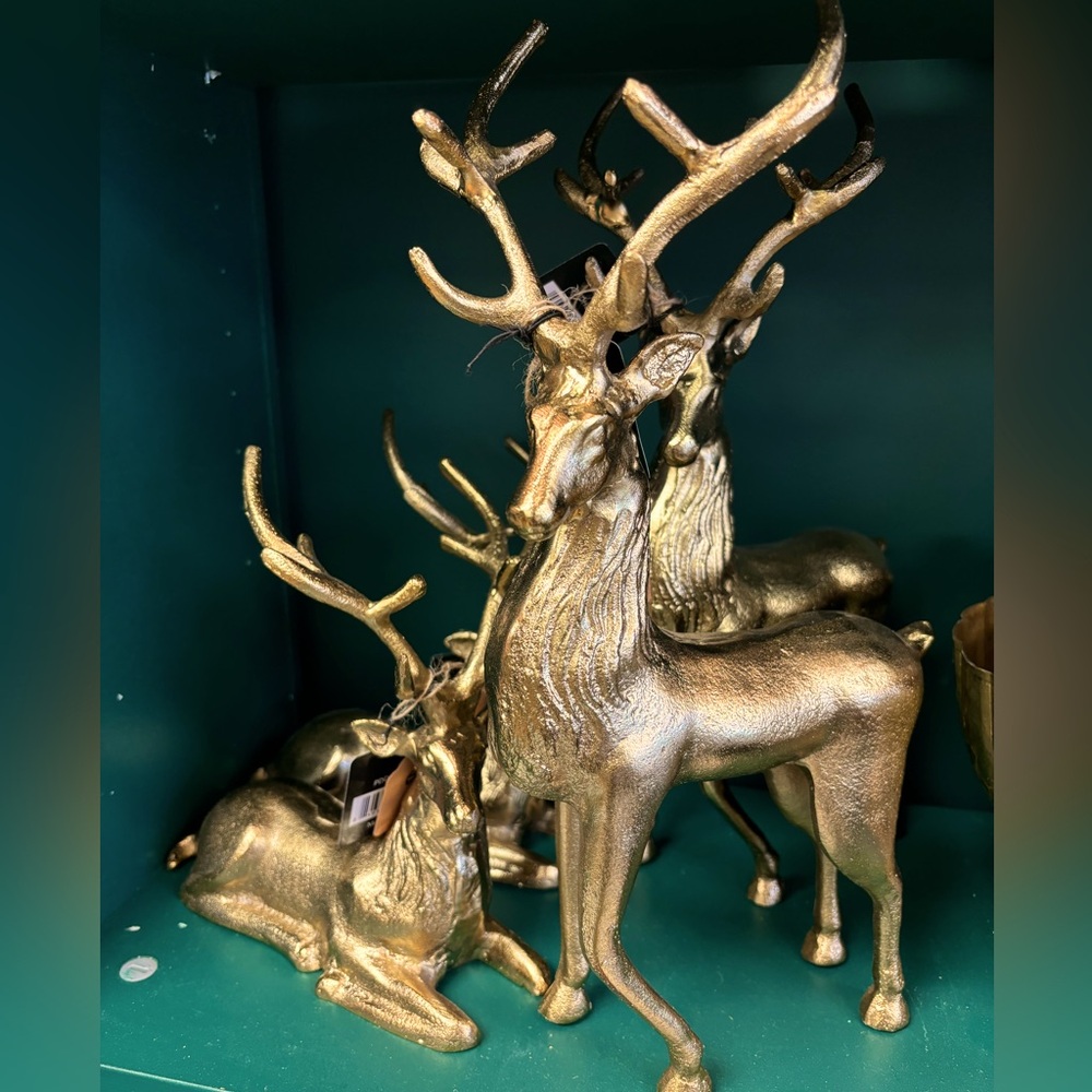 Reindeer Pair